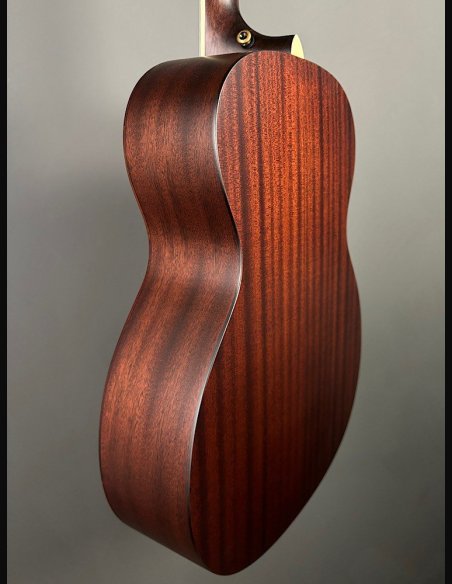 D'Angelico Premier Tammany Carmel Burst