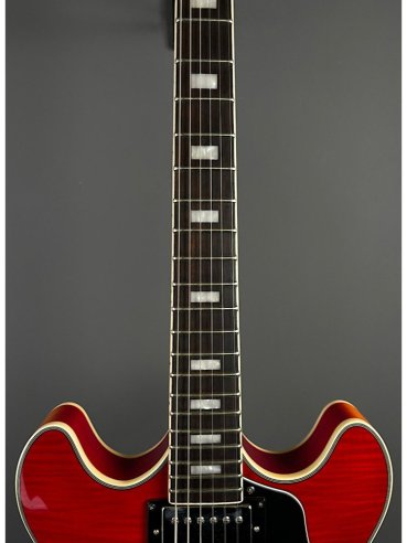 Sire H7 CS Larry Cherry Sunburst