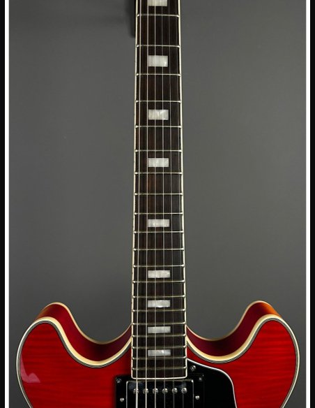 Sire H7 CS Larry Cherry Sunburst