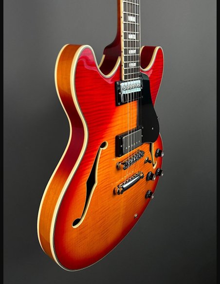 Sire H7 CS Larry Cherry Sunburst