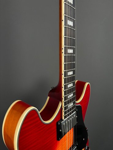 Sire H7 CS Larry Cherry Sunburst