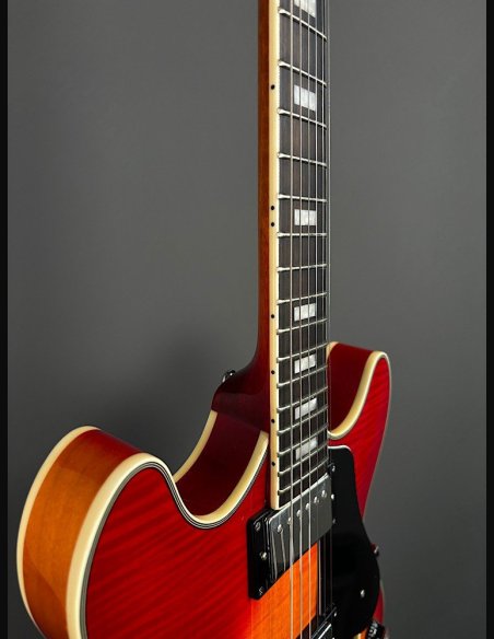 Sire H7 CS Larry Cherry Sunburst
