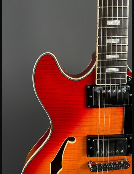 Sire H7 CS Larry Cherry Sunburst