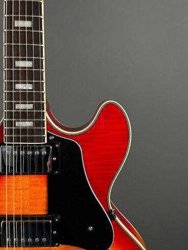 Sire H7 CS Larry Cherry Sunburst