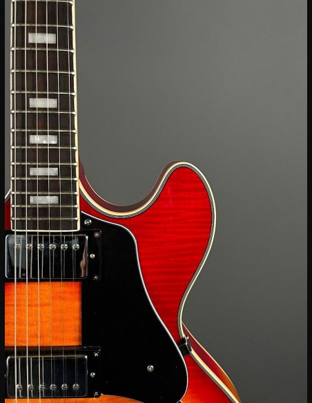 Sire H7 CS Larry Cherry Sunburst