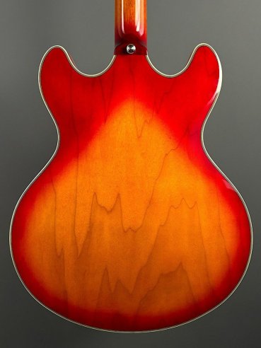 Sire H7 CS Larry Cherry Sunburst
