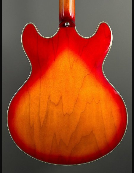 Sire H7 CS Larry Cherry Sunburst