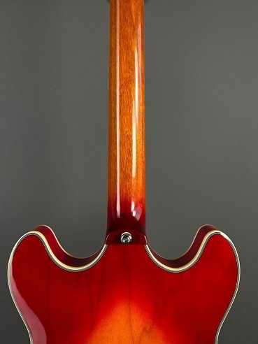 Sire H7 CS Larry Cherry Sunburst