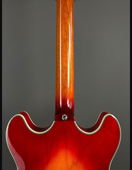 Sire H7 CS Larry Cherry Sunburst