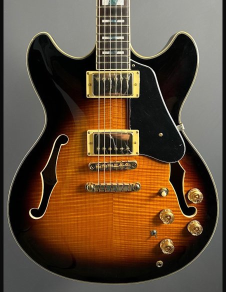 Ibanez JSM10-VYS CH Semiacustica C/Astuccio