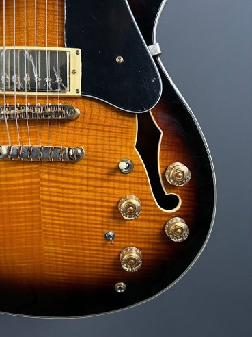 Ibanez JSM10-VYS CH Semiacustica C/Astuccio