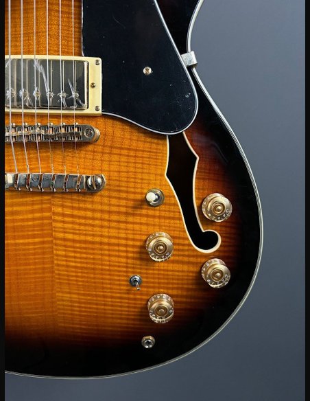 Ibanez JSM10-VYS CH Semiacustica C/Astuccio