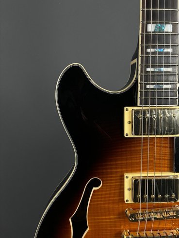 Ibanez JSM10-VYS CH Semiacustica C/Astuccio