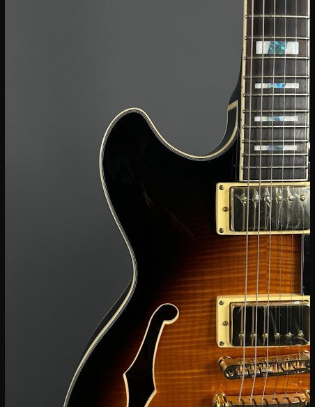 Ibanez JSM10-VYS CH Semiacustica C/Astuccio