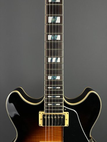 Ibanez JSM10-VYS CH Semiacustica C/Astuccio