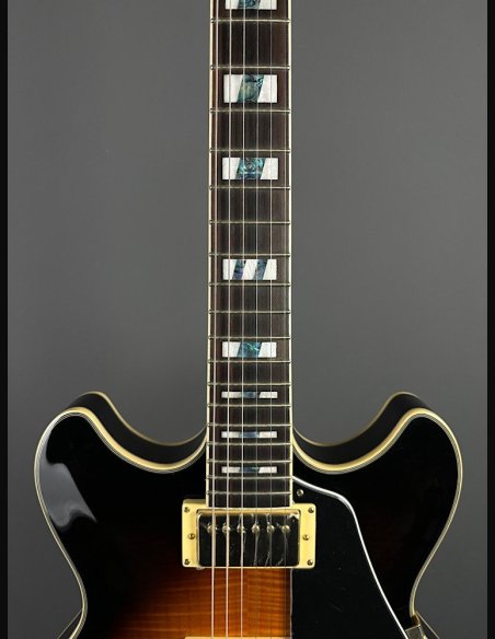 Ibanez JSM10-VYS CH Semiacustica C/Astuccio