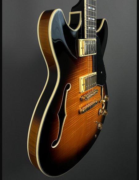 Ibanez JSM10-VYS CH Semiacustica C/Astuccio