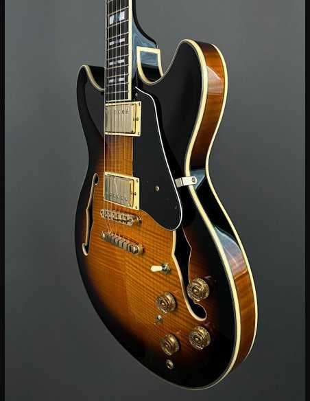 Ibanez JSM10-VYS CH Semiacustica C/Astuccio