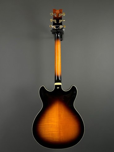 Ibanez JSM10-VYS CH Semiacustica C/Astuccio