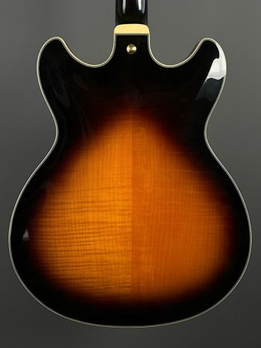 Ibanez JSM10-VYS CH Semiacustica C/Astuccio