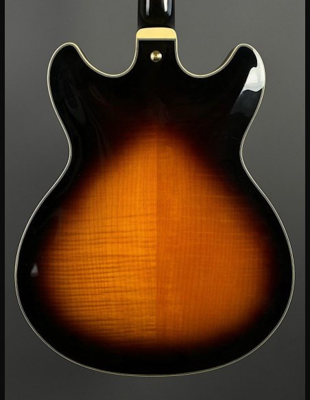 Ibanez JSM10-VYS CH Semiacustica C/Astuccio