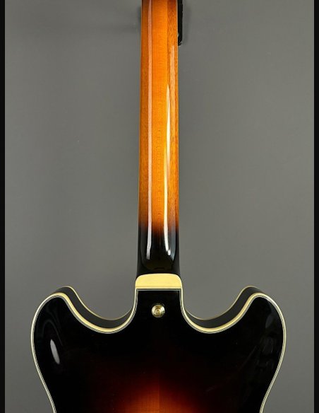 Ibanez JSM10-VYS CH Semiacustica C/Astuccio