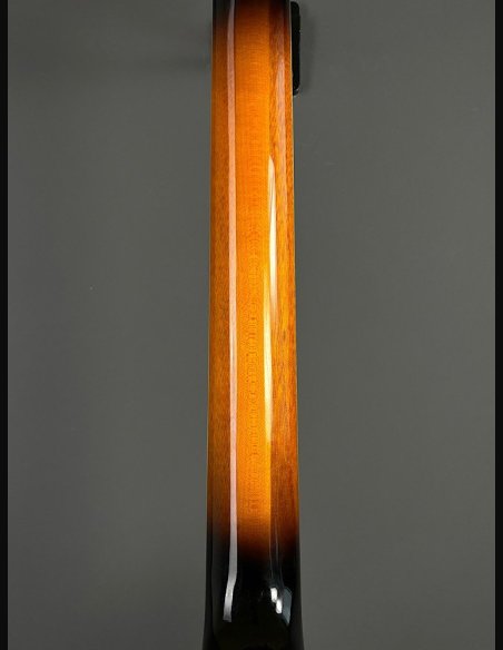 Ibanez JSM10-VYS CH Semiacustica C/Astuccio