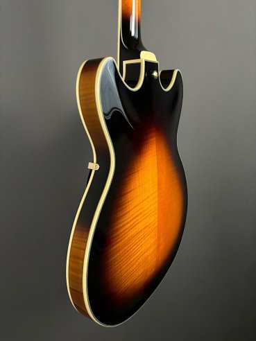 Ibanez JSM10-VYS CH Semiacustica C/Astuccio