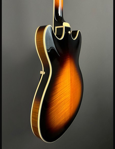 Ibanez JSM10-VYS CH Semiacustica C/Astuccio