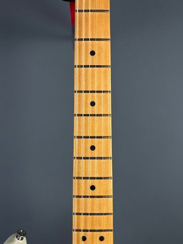 Fender Player Plus Stratocaster Olympic White w/bag