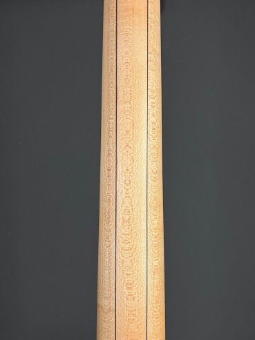 Warwick Rockbass Corvette Basic Burgundy Red 4 Corde