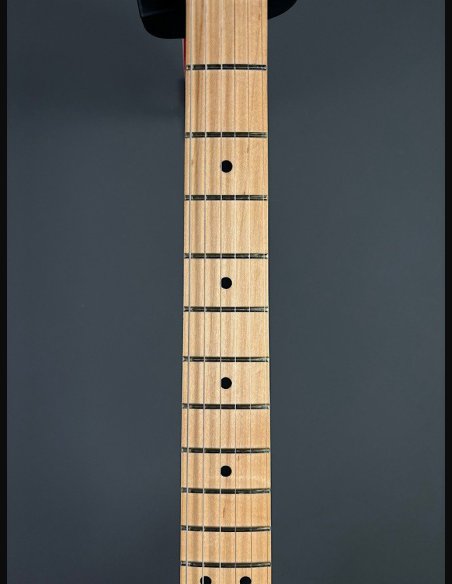 Fender Player Tele Maple Butterscotch Blonde