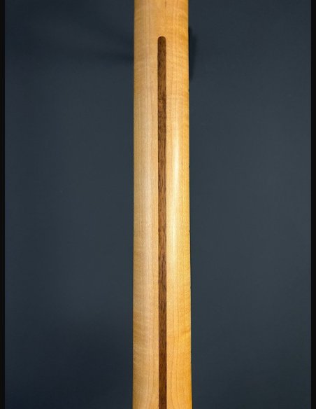 Fender American Professional II Telecaster Maple Fingerboard 3 Color Sunburst