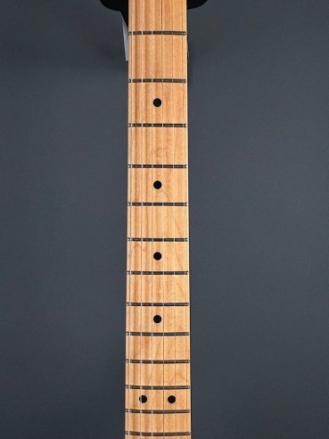 Fender American Professional Telecaster Maple Fingerboard Black