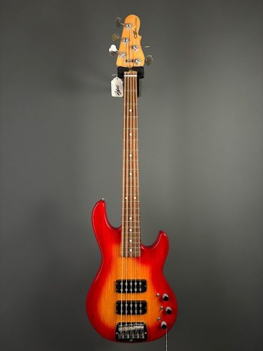 GL L2500 Tribute Basso Elettrico 5Corde