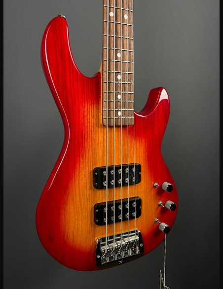 GL L2500 Tribute Basso Elettrico 5Corde