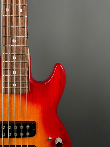 GL L2500 Tribute Basso Elettrico 5Corde