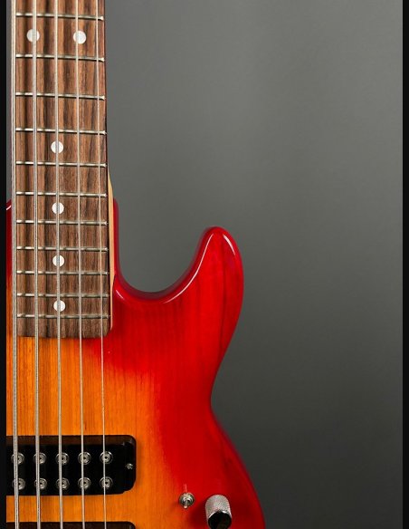 GL L2500 Tribute Basso Elettrico 5Corde