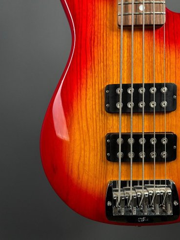 GL L2500 Tribute Basso Elettrico 5Corde