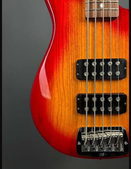 GL L2500 Tribute Basso Elettrico 5Corde