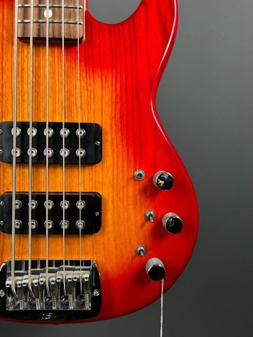 GL L2500 Tribute Basso Elettrico 5Corde