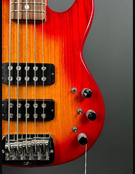 GL L2500 Tribute Basso Elettrico 5Corde