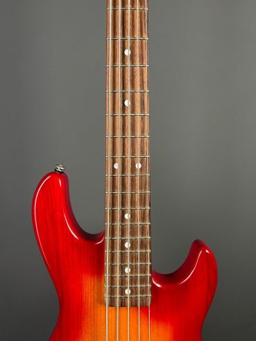 GL L2500 Tribute Basso Elettrico 5Corde