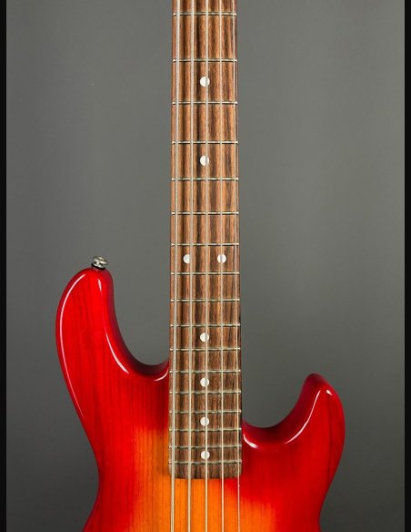 GL L2500 Tribute Basso Elettrico 5Corde