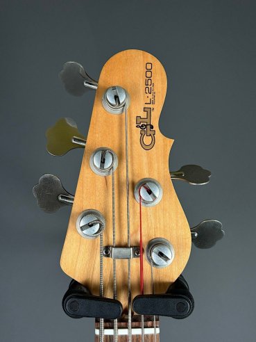 GL L2500 Tribute Basso Elettrico 5Corde