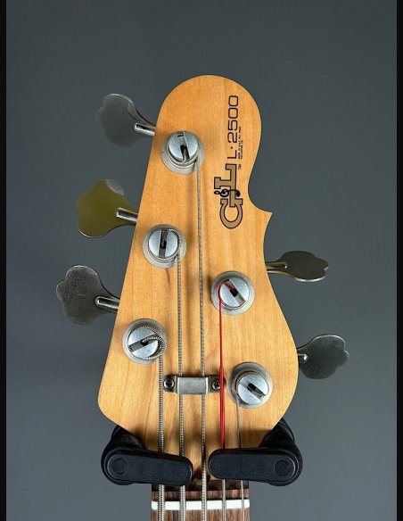 GL L2500 Tribute Basso Elettrico 5Corde