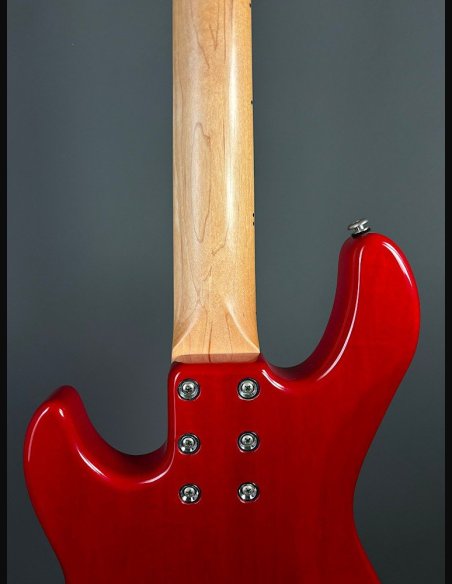 GL L2500 Tribute Basso Elettrico 5Corde