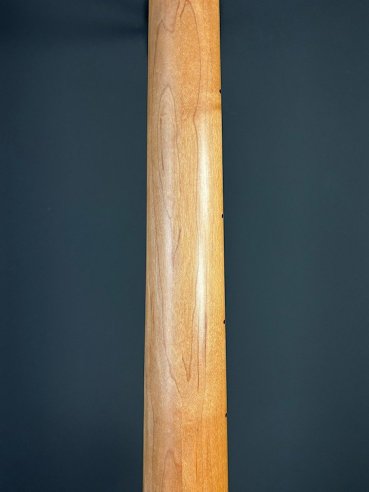 GL L2500 Tribute Basso Elettrico 5Corde