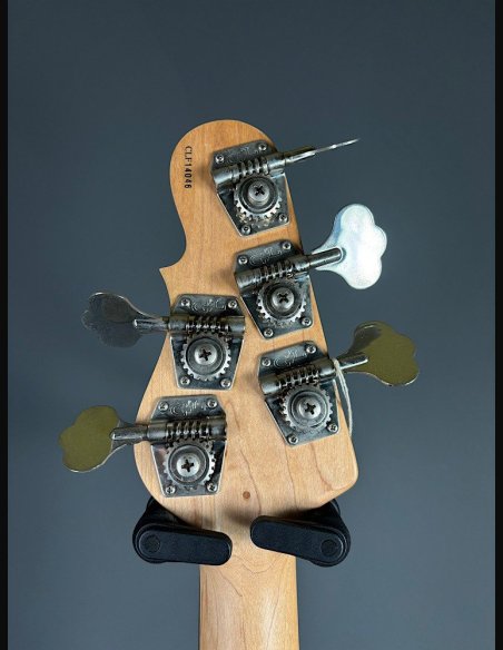 GL L2500 Tribute Basso Elettrico 5Corde