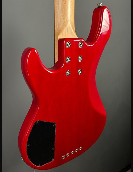 GL L2500 Tribute Basso Elettrico 5Corde